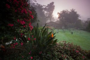School estate garden
