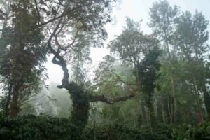 India's Most expensive Luxury retreat