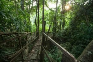 India's Most expensive Luxury retreat