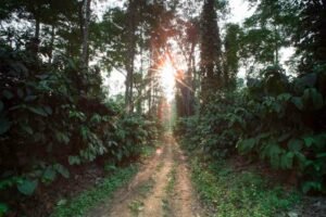 India's Most expensive Luxury retreat