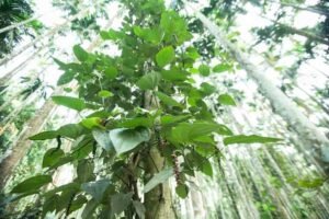 India's Most expensive Luxury retreat