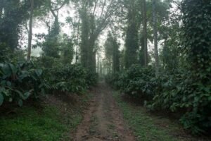 India's Most expensive Luxury retreat