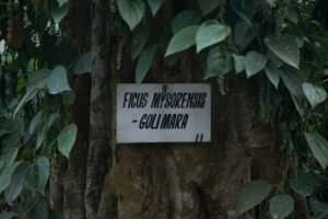 India's Most expensive Luxury retreat