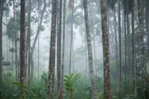 India's Most expensive Luxury retreat