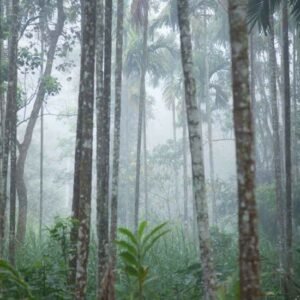 India's Most expensive Luxury retreat