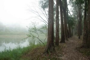 India's Most expensive Luxury retreat