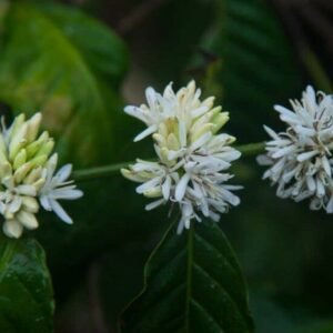 India's Most expensive Luxury retreat