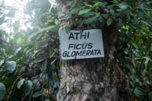 India's Most expensive Luxury retreat