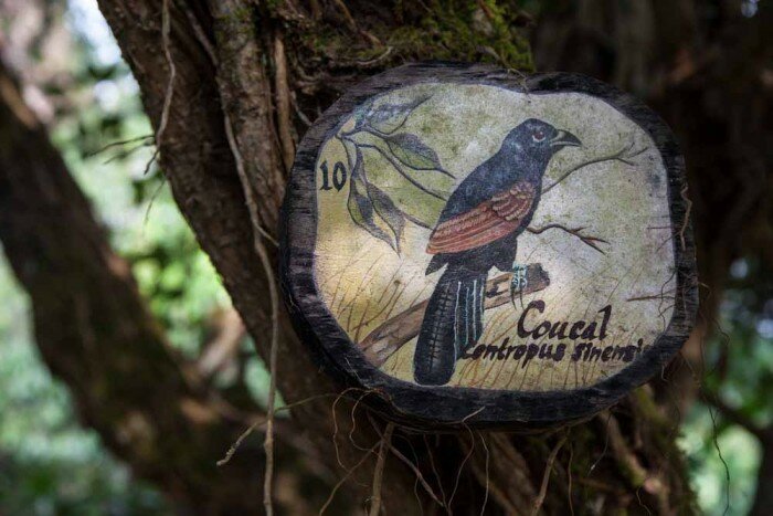 India's Most expensive Luxury retreat