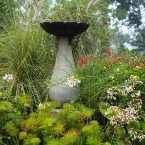 garden-gallery-6-550x550