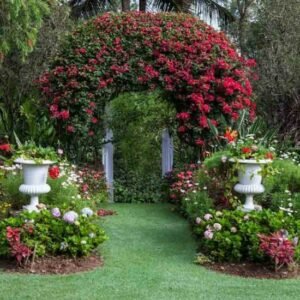 garden-gallery-6-550x550